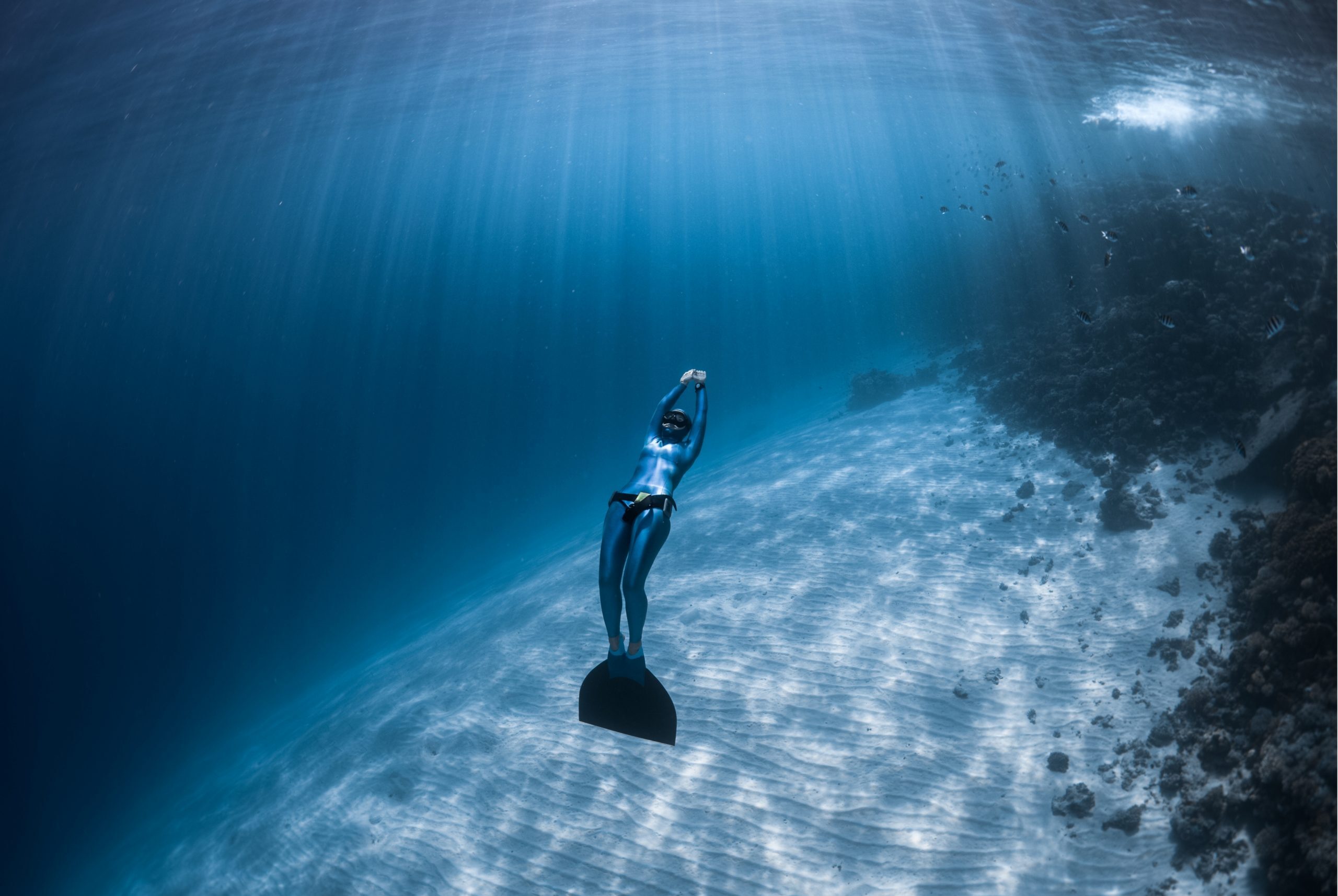 Freediving Nicaragua – Ssi Freediving School